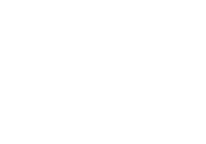 dotz